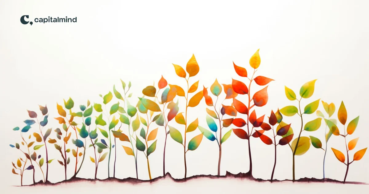 The four kinds of growth we look for in Capitalmind Focused