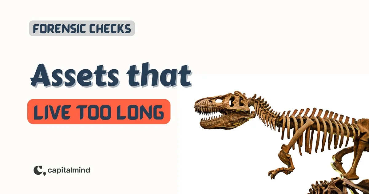 The Curious Case of Assets That Live Too Long