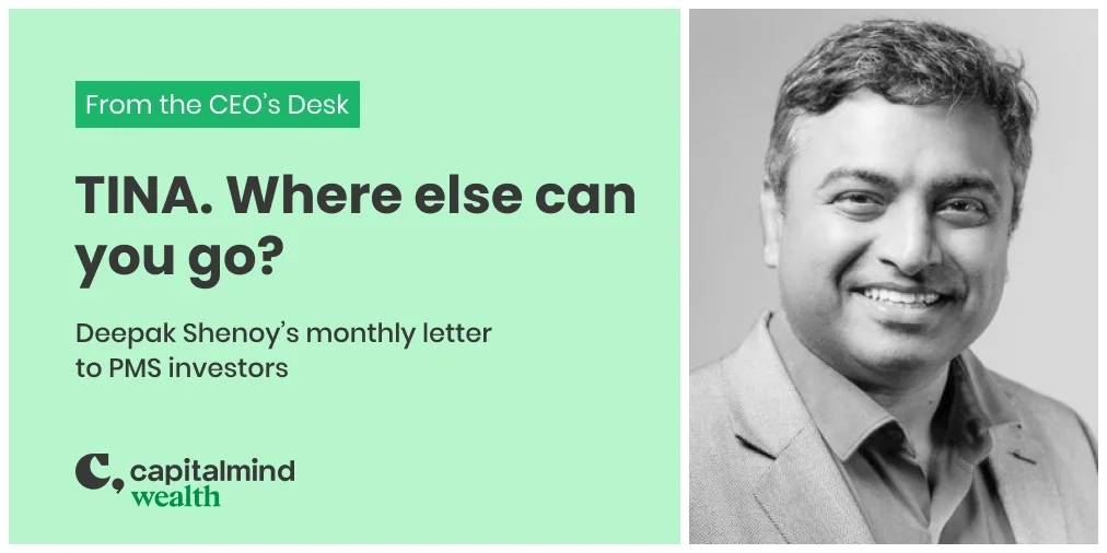 Wealth Letter Nov 2020: TINA. Where else can you go?