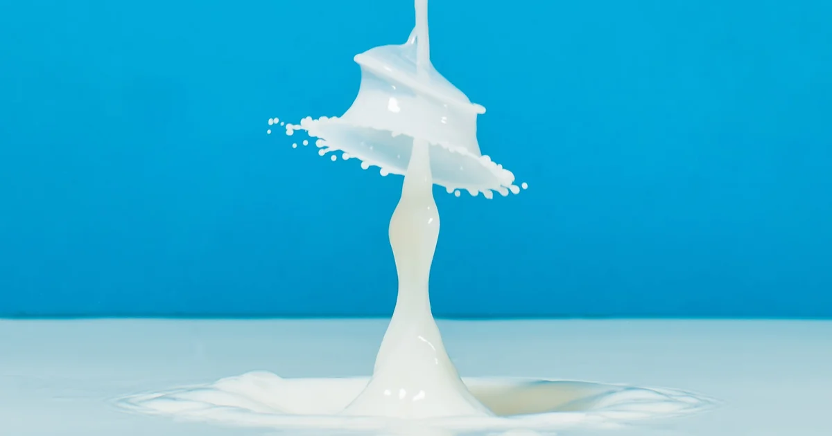 Dodla Dairy IPO: Will it nourish investors?